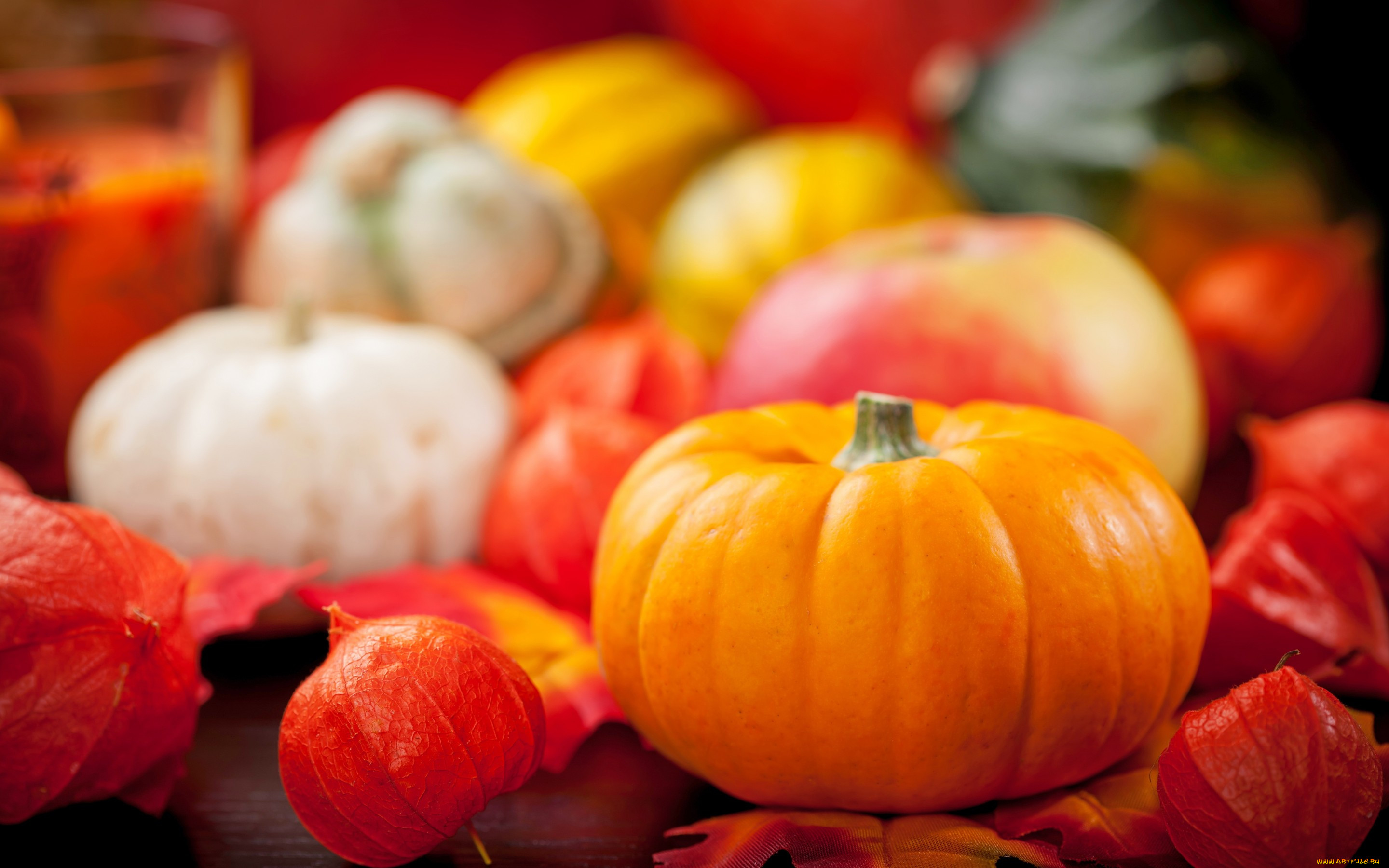 , , still, life, vegetables, , , , autumn, harvest, pumpkin, 